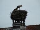 Theatersommer-Riedlingen-2016-07-11-Bodensee-Community-SEECHAT-_49_.JPG