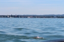 Hamza-Bakircioglu-Bodensee-Laengsquerung-2017-07-16u17-Bodensee-Community-SEECHAT_DE-IMG_2160.JPG