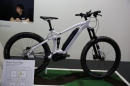 EUROBIKE-Fahrrad-Messe-2016-09-03-Friedrichshafen-Bodensee-Community-SEECHAT_DE-IMG_7610.JPG