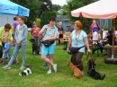 Struppirennen-Bad-Saulgau-04-09-2016-Bodensee-Community-SEECHAT_DE-_17_.JPG