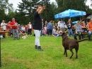 Struppirennen-Bad-Saulgau-04-09-2016-Bodensee-Community-SEECHAT_DE-_18_.JPG