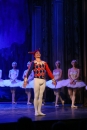 Schwanensee-Ballett-061216-Bodenseecomunity-SEECHAT_DE--1363.jpg