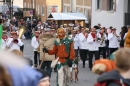 Narrenumzug-Friedrichshafen-250217-Stockach-Bodensee_Community-seechat_de-IMG_2978.jpg