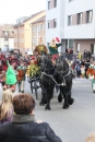 Narrenumzug-Friedrichshafen-250217-Stockach-Bodensee_Community-seechat_de-IMG_2984.jpg