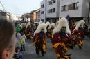 Narrenumzug-Friedrichshafen-250217-Stockach-Bodensee_Community-seechat_de-IMG_3049.jpg