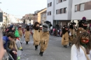 Narrenumzug-Friedrichshafen-250217-Stockach-Bodensee_Community-seechat_de-IMG_3069.jpg