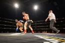 Bodensee-Fightnight-Uhldingen-18-03-2017-Bodensee_Community-seechat_de-_131_1.JPG