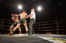 Bodensee-Fightnight-Uhldingen-18-03-2017-Bodensee_Community-seechat_de-_142_1.JPG