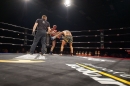 Bodensee-Fightnight-Uhldingen-18-03-2017-Bodensee_Community-seechat_de-_226_.JPG