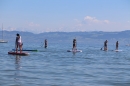 Picknick-Kino-Strandbad-Friedrichshafen-2017-05-25-Bodensee-Community-SEECHAT_DE-IMG_4198.JPG