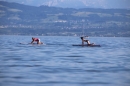 Picknick-Kino-Strandbad-Friedrichshafen-2017-05-25-Bodensee-Community-SEECHAT_DE-IMG_4503.JPG