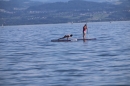 Picknick-Kino-Strandbad-Friedrichshafen-2017-05-25-Bodensee-Community-SEECHAT_DE-IMG_4510.JPG