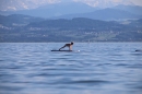 Picknick-Kino-Strandbad-Friedrichshafen-2017-05-25-Bodensee-Community-SEECHAT_DE-IMG_4517.JPG