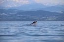 Picknick-Kino-Strandbad-Friedrichshafen-2017-05-25-Bodensee-Community-SEECHAT_DE-IMG_4520.JPG