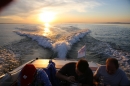 Rundfahrt-BODENSEEBOOT-2017-07-06-Bodensee-Community-seechat_de-IMG_2981.JPG