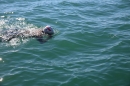 BODENSEEBOOT-Prabhat-Koli-2017-07-17-Bodensee-Querung-Schwimmer-IMG_5250.JPG