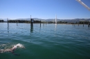 BODENSEEBOOT-Prabhat-Koli-2017-07-17-Bodensee-Querung-Schwimmer-IMG_5281.JPG