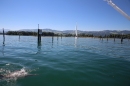 BODENSEEBOOT-Prabhat-Koli-2017-07-17-Bodensee-Querung-Schwimmer-IMG_5282.JPG