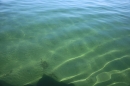 BODENSEEBOOT-Prabhat-Koli-2017-07-17-Bodensee-Querung-Schwimmer-IMG_5289.JPG