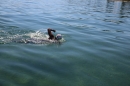 BODENSEEBOOT-Prabhat-Koli-2017-07-17-Bodensee-Querung-Schwimmer-IMG_5299.JPG