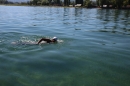 BODENSEEBOOT-Prabhat-Koli-2017-07-17-Bodensee-Querung-Schwimmer-IMG_5300.JPG