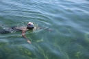 BODENSEEBOOT-Prabhat-Koli-2017-07-17-Bodensee-Querung-Schwimmer-IMG_5302.JPG