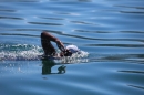 BODENSEEBOOT-Prabhat-Koli-2017-07-17-Bodensee-Querung-Schwimmer-IMG_5317.JPG