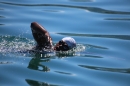 BODENSEEBOOT-Prabhat-Koli-2017-07-17-Bodensee-Querung-Schwimmer-IMG_5318.JPG