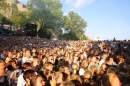 Max-Giesinger-Hohentwielfestival-Singen-20170720-Bodensee-Community-SEECHAT_DE-IMG_5584.JPG