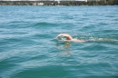 BODENSEEBOOT-Querung-Sven-Eckhardt-2017-08-07-Bodensee-Community-SEECHAT_DE-IMG_6883.JPG