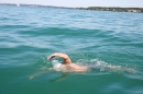 BODENSEEBOOT-Querung-Sven-Eckhardt-2017-08-07-Bodensee-Community-SEECHAT_DE-IMG_6897.JPG