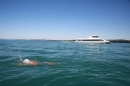 BODENSEEBOOT-Querung-Sven-Eckhardt-2017-08-07-Bodensee-Community-SEECHAT_DE-IMG_6925.JPG