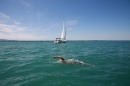 BODENSEEBOOT-Querung-Sven-Eckhardt-2017-08-07-Bodensee-Community-SEECHAT_DE-IMG_7029.JPG