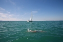 BODENSEEBOOT-Querung-Sven-Eckhardt-2017-08-07-Bodensee-Community-SEECHAT_DE-IMG_7030.JPG