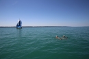 BODENSEEBOOT-Querung-Sven-Eckhardt-2017-08-07-Bodensee-Community-SEECHAT_DE-IMG_7081.JPG