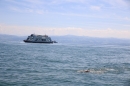 BODENSEEBOOT-Daniel-Los-Romanshorn-2017-08-13-SEECHAT_DE-IMG_8143.JPG