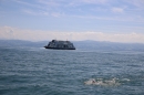 BODENSEEBOOT-Daniel-Los-Romanshorn-2017-08-13-SEECHAT_DE-IMG_8144.JPG