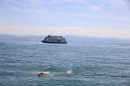 BODENSEEBOOT-Daniel-Los-Romanshorn-2017-08-13-SEECHAT_DE-IMG_8145.JPG