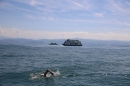 BODENSEEBOOT-Daniel-Los-Romanshorn-2017-08-13-SEECHAT_DE-IMG_8147.JPG