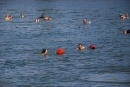 Rheinschwimmen-Basel-2017-08-15-Bodensee-community-seechat_DE-2017-08-15_05_50_08.jpg