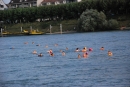 Rheinschwimmen-Basel-2017-08-15-Bodensee-community-seechat_DE-2017-08-15_05_50_59.jpg