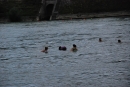 Rheinschwimmen-Basel-2017-08-15-Bodensee-community-seechat_DE-2017-08-15_06_32_44.jpg