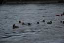 Rheinschwimmen-Basel-2017-08-15-Bodensee-community-seechat_DE-2017-08-15_06_33_24.jpg