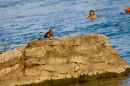 Rheinschwimmen-Basel-2017-08-15-Bodensee-community-seechat_DE-_144_.jpg