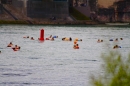 Rheinschwimmen-Basel-2017-08-15-Bodensee-community-seechat_DE-_183_.jpg