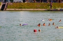 Rheinschwimmen-Basel-2017-08-15-Bodensee-community-seechat_DE-_80_.jpg