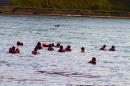 Rheinschwimmen-Basel-2017-08-15-Bodensee-community-seechat_DE-_85_.jpg