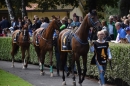 BADEN-BADEN-Pferderennen-2017-09-03-Bodensee-Community-SEECHAT_DE-_45_1.JPG