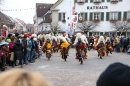 Narrensprung-Langenargen-140118-seechat_de-IMG_2301.jpg