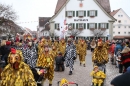 Narrensprung-Langenargen-140118-seechat_de-IMG_2319.jpg